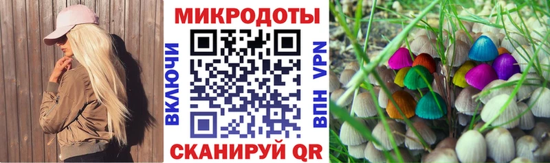 наркошоп  Полысаево  Псилоцибиновые грибы Cubensis 