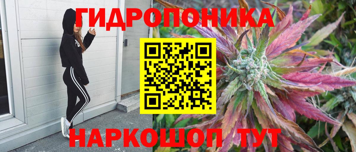 Шишки марихуана Bruce Banner Полысаево